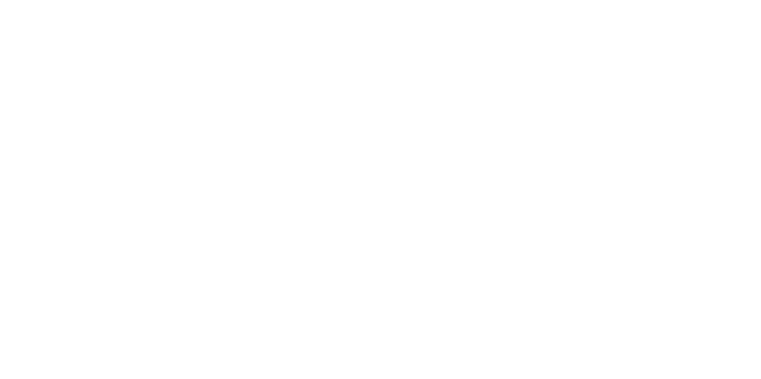 Noise Ordinance Band Logo